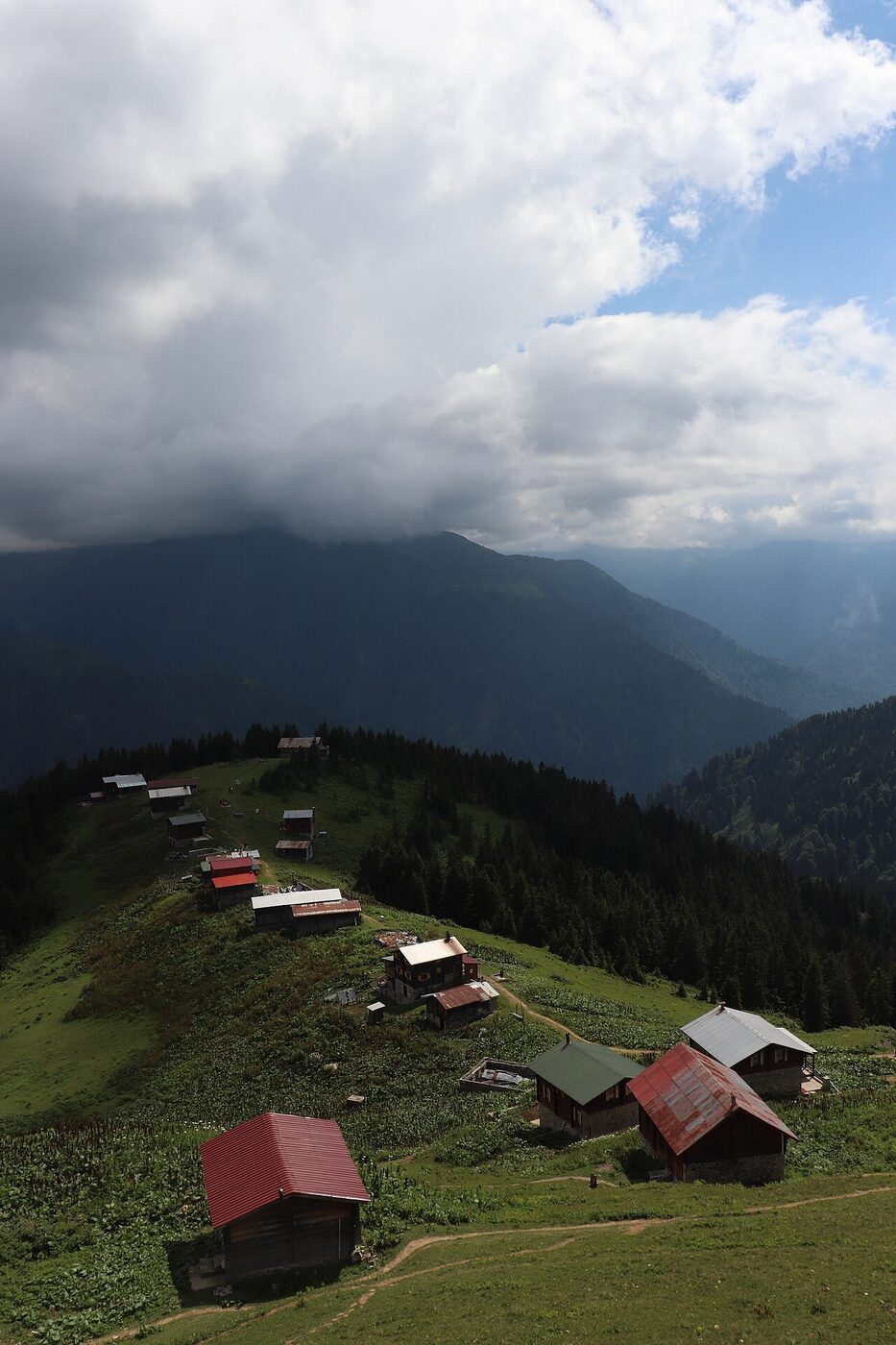 Pokut Yaylası'nda bulutların üstündeki serenderler