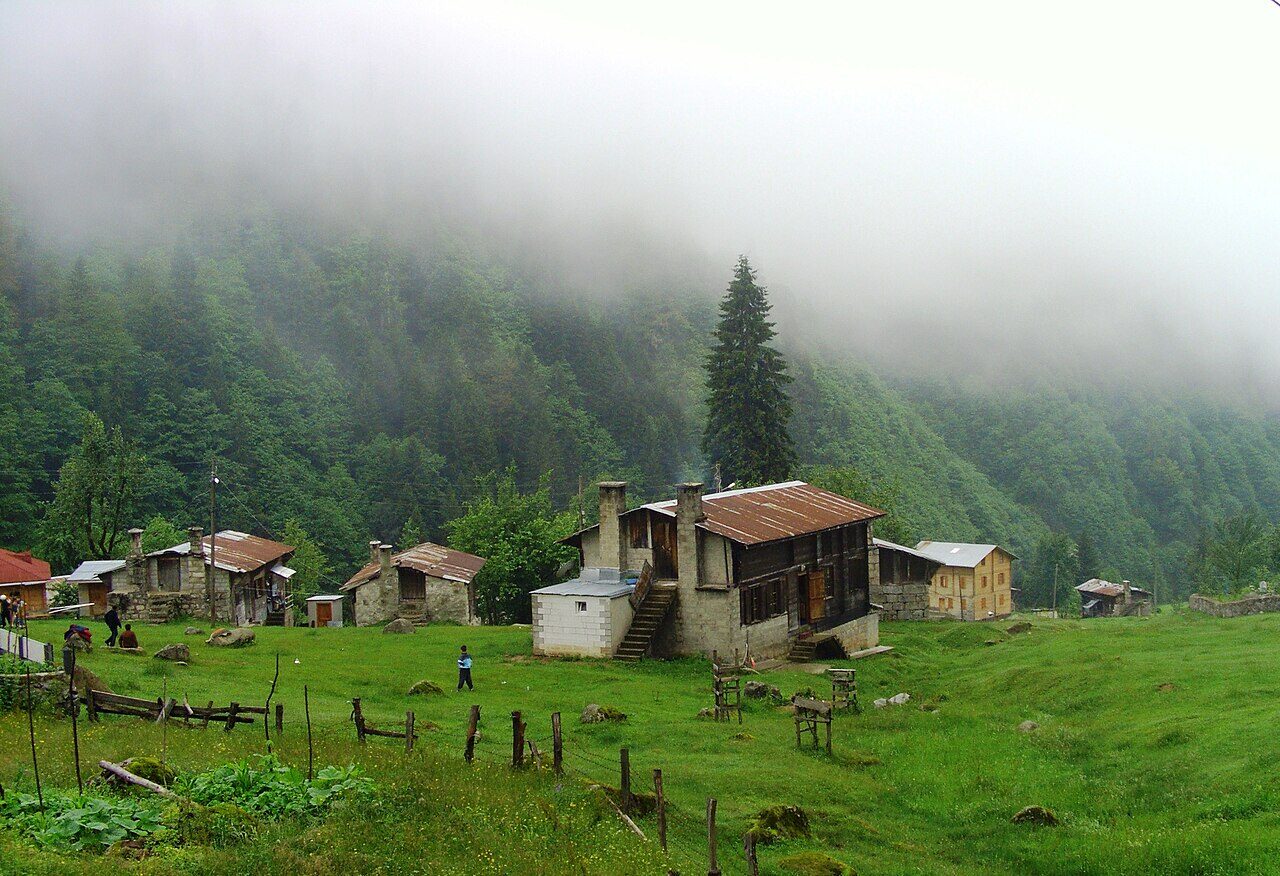 Rize yaylalarında yeşil vadi ve evler