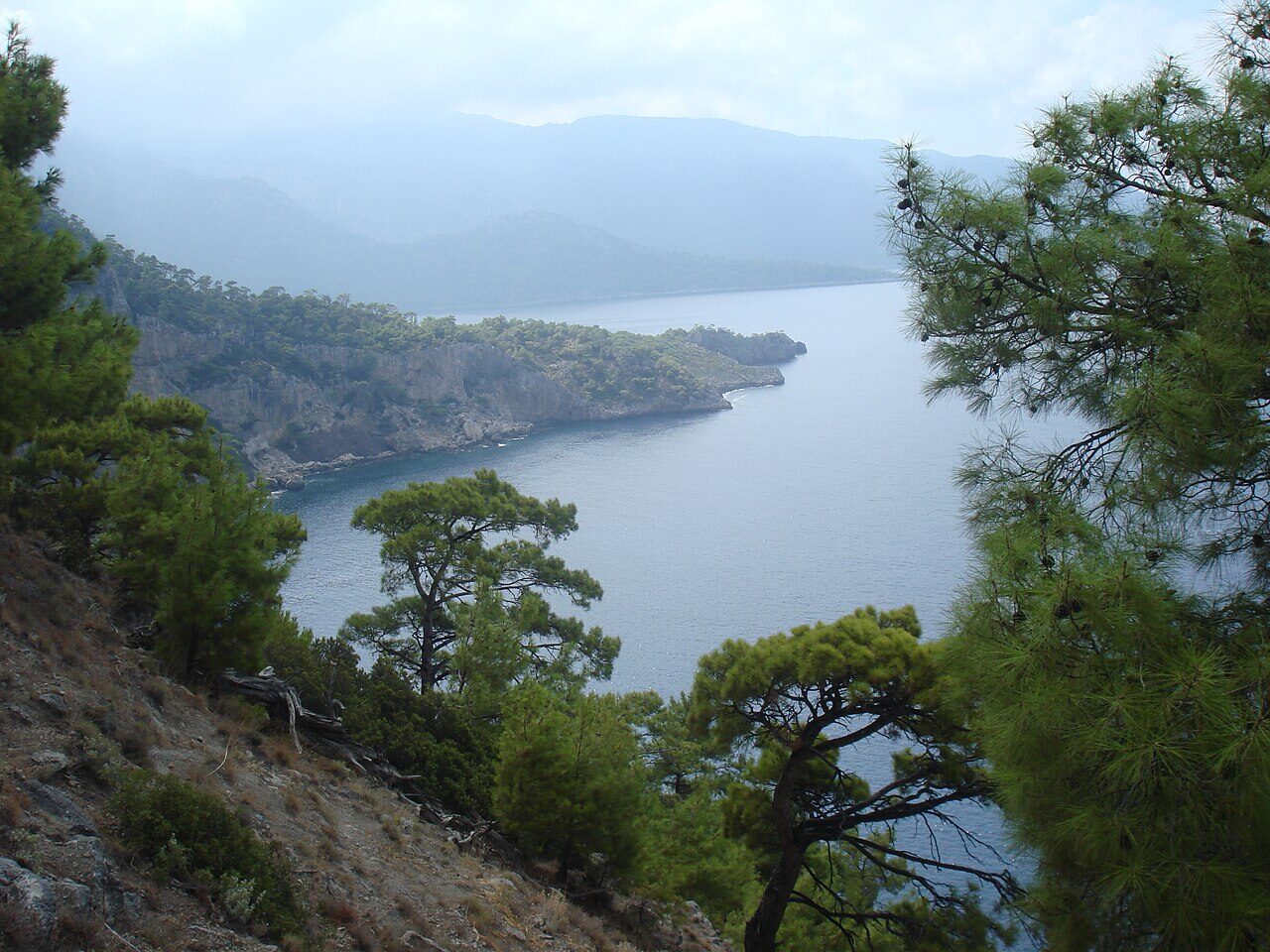 Fethiye kıyısında çam ormanı ve koy