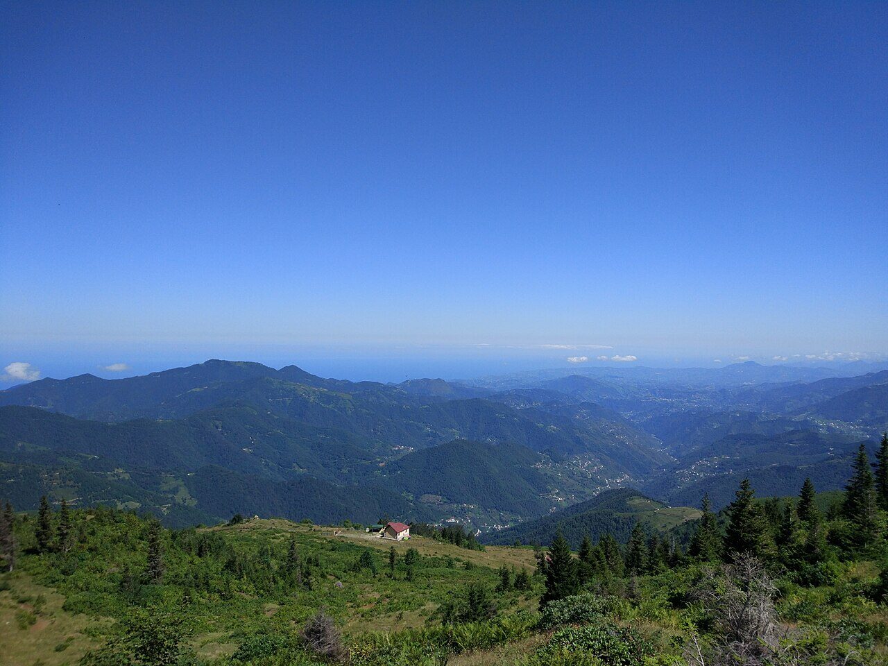 Trabzon'da dağ ve orman manzarası
